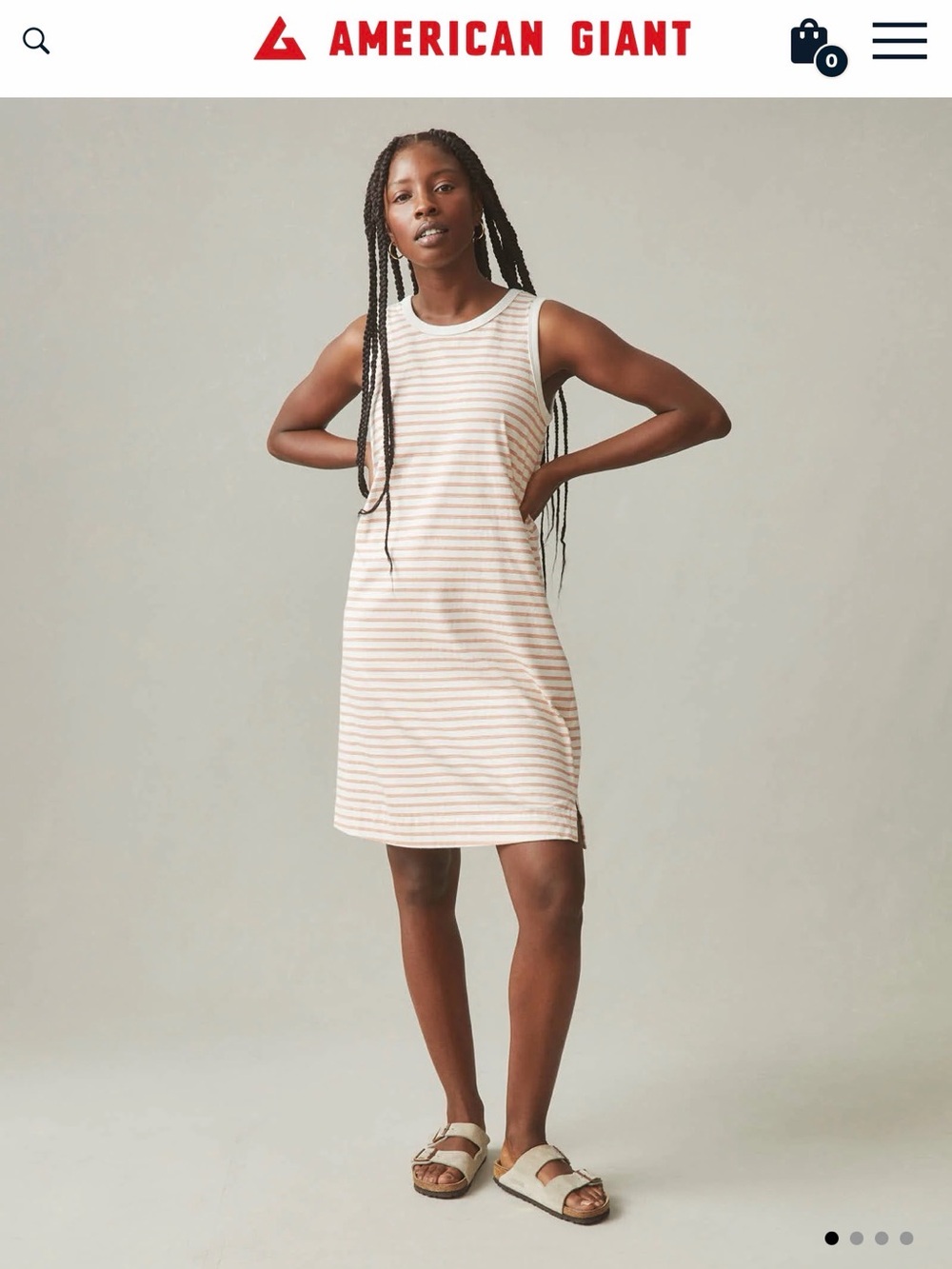 American Giant Tank Dress with Blue Stripes